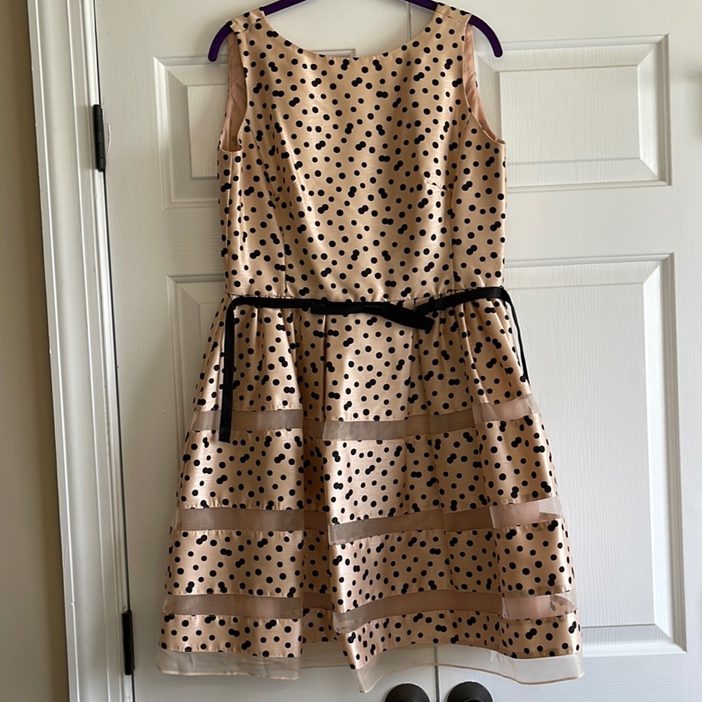 EUC blush and black Taylor brand dress